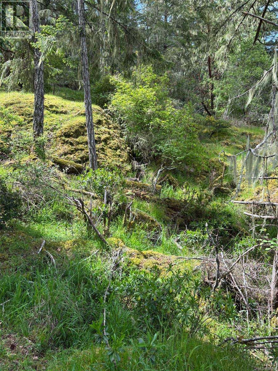 Lot 13 Seagirt Rd Property Photo 29