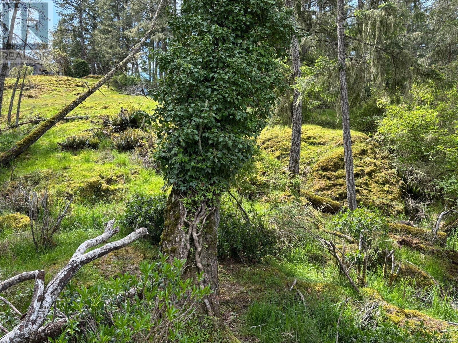 Lot 13 Seagirt Rd Property Photo 34