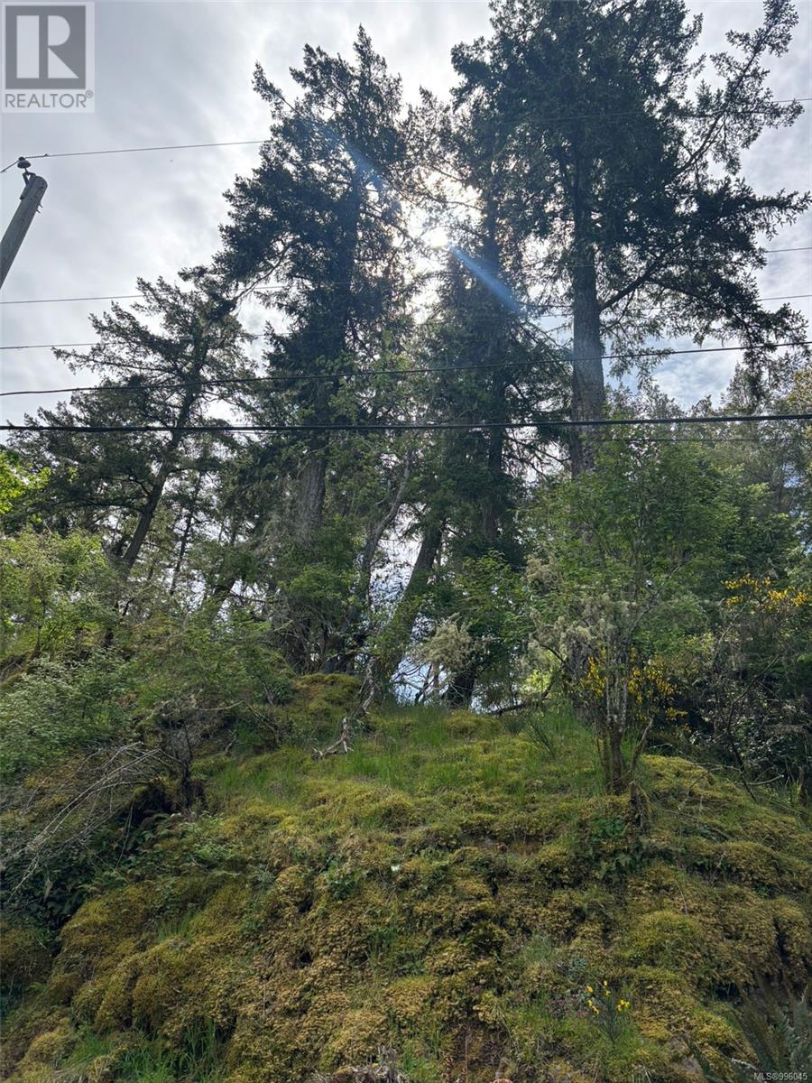 Lot 13 Seagirt Rd Property Photo 40