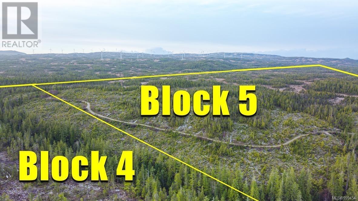 5 Cape Sutil Holberg (off) Hwy Property Photo 4