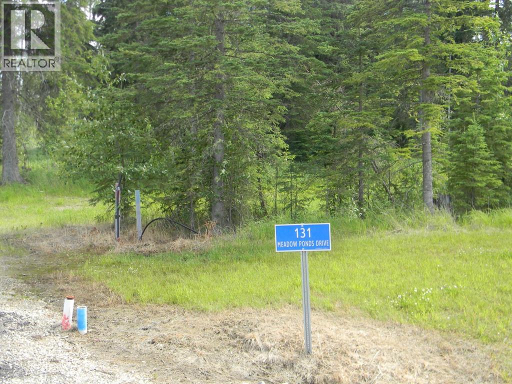 131 Meadow Ponds Drive