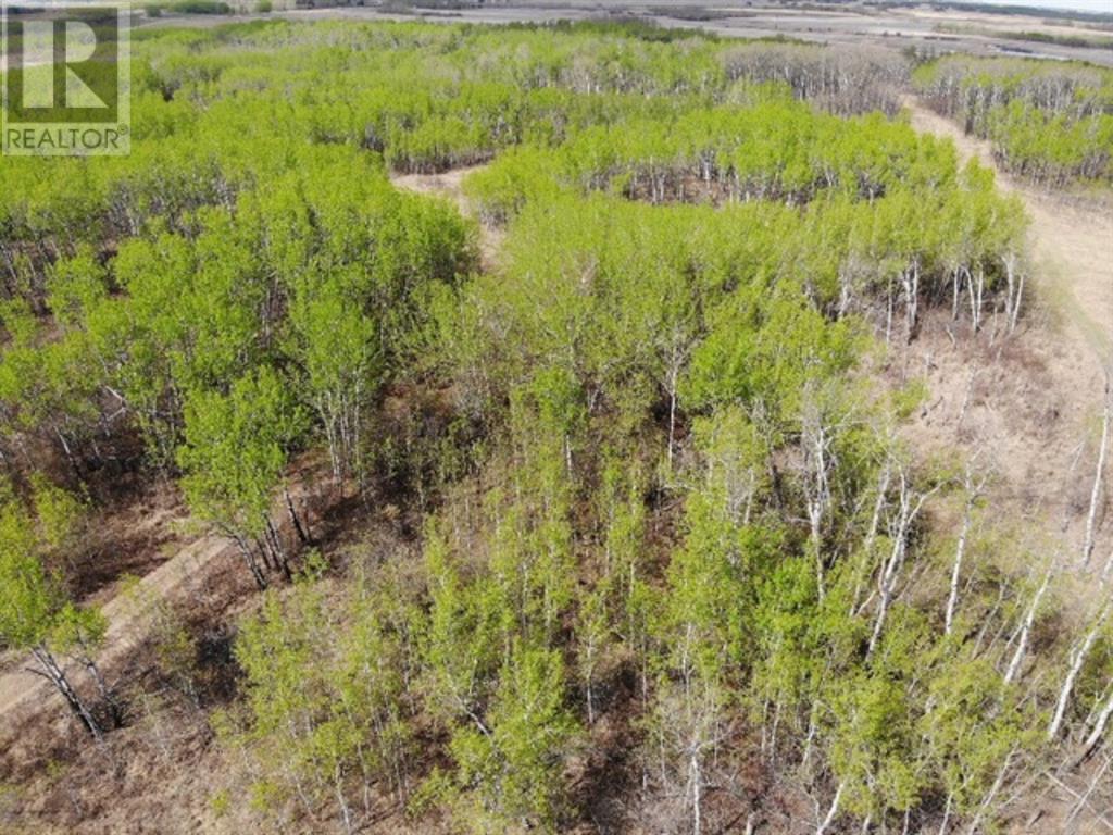 450031 73 Range Property Photo 2