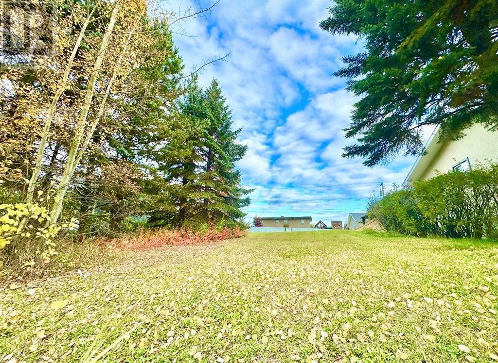 10316 103 Ave Property Photo 2