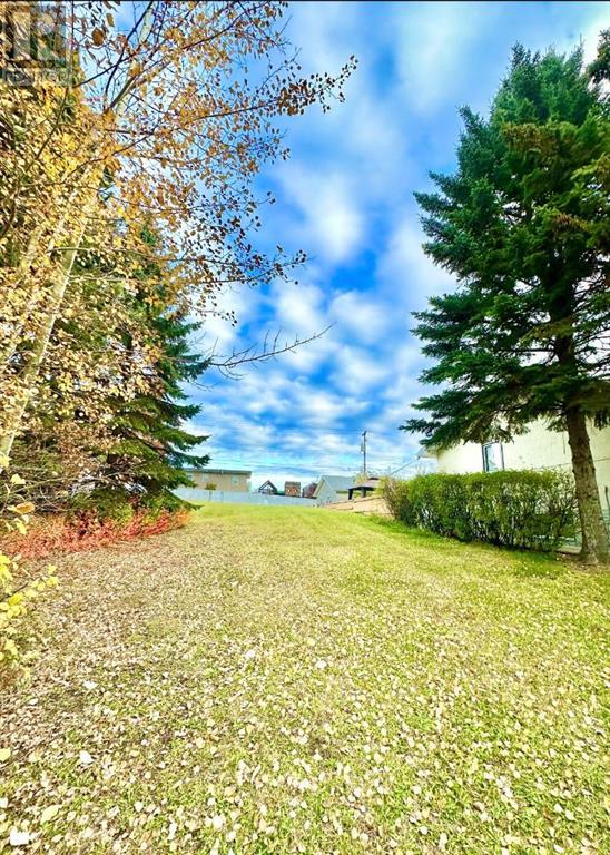 10316 103 Ave Property Photo 3