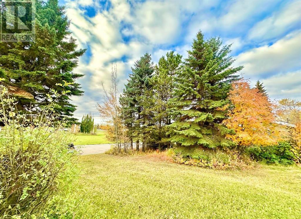 10316 103 Ave Property Photo 6