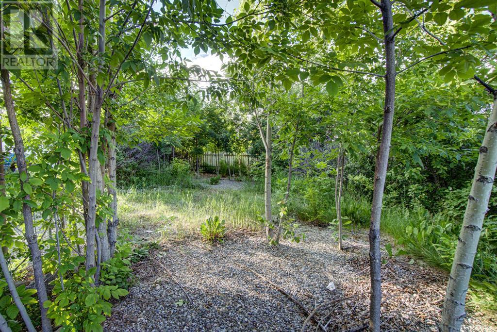 317 Dufferin Street Property Photo 5
