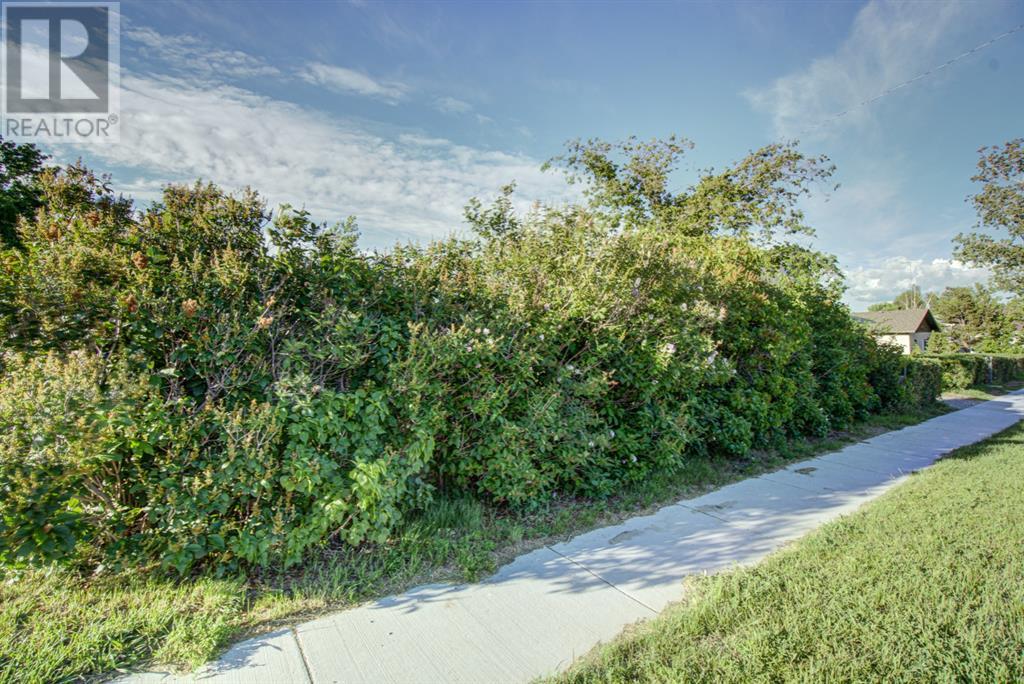 317 Dufferin Street Property Photo 8