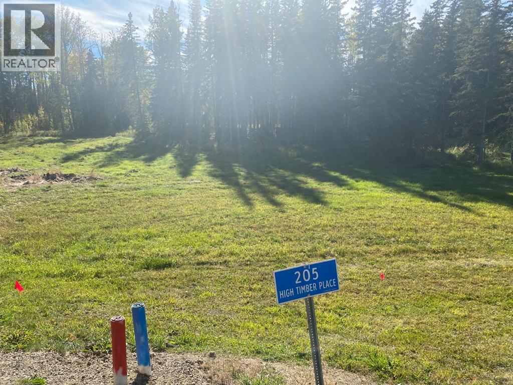 205 High Timber Place Photo de la propriété 1
