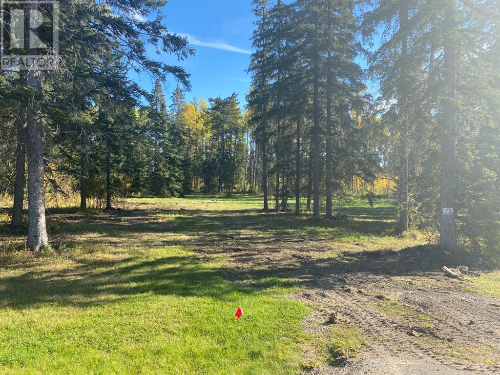 201 High Timber Place Property Photo 1