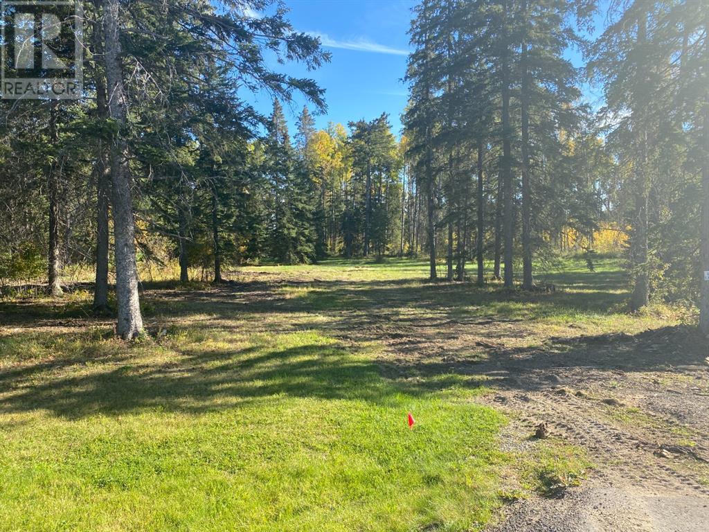 201 High Timber Place Property Photo 2