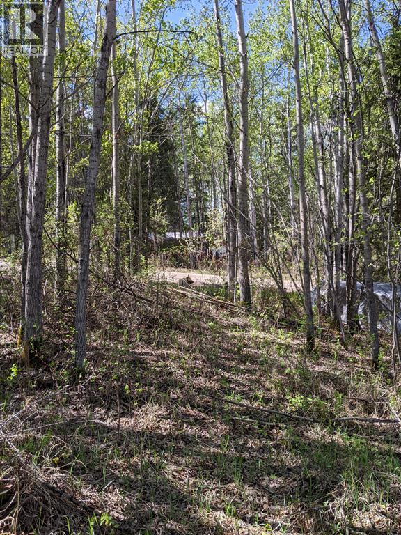 15538 Old Trail Property Photo 4