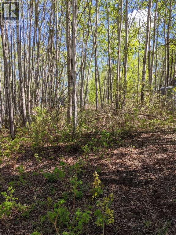 15538 Old Trail Property Photo 7