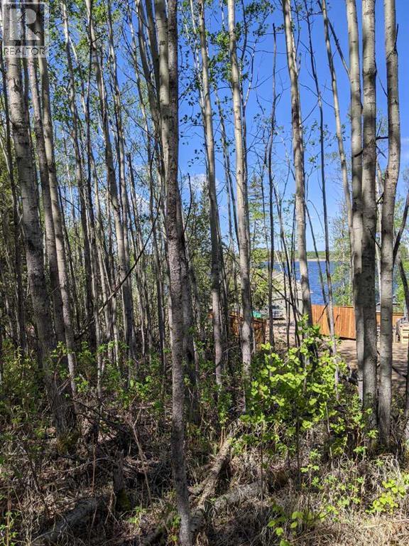 15538 Old Trail Property Photo 8