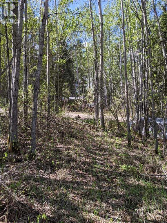 15538 Old Trail Property Photo 9