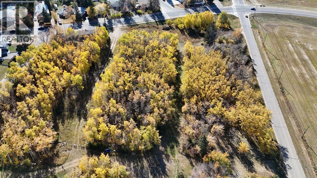 5005 46 Street Property Photo 5