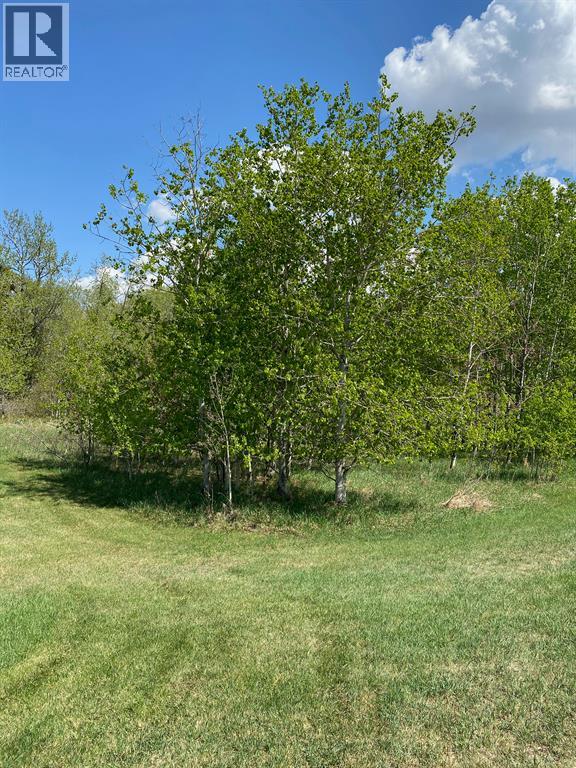 5005 46 Street Property Photo 10