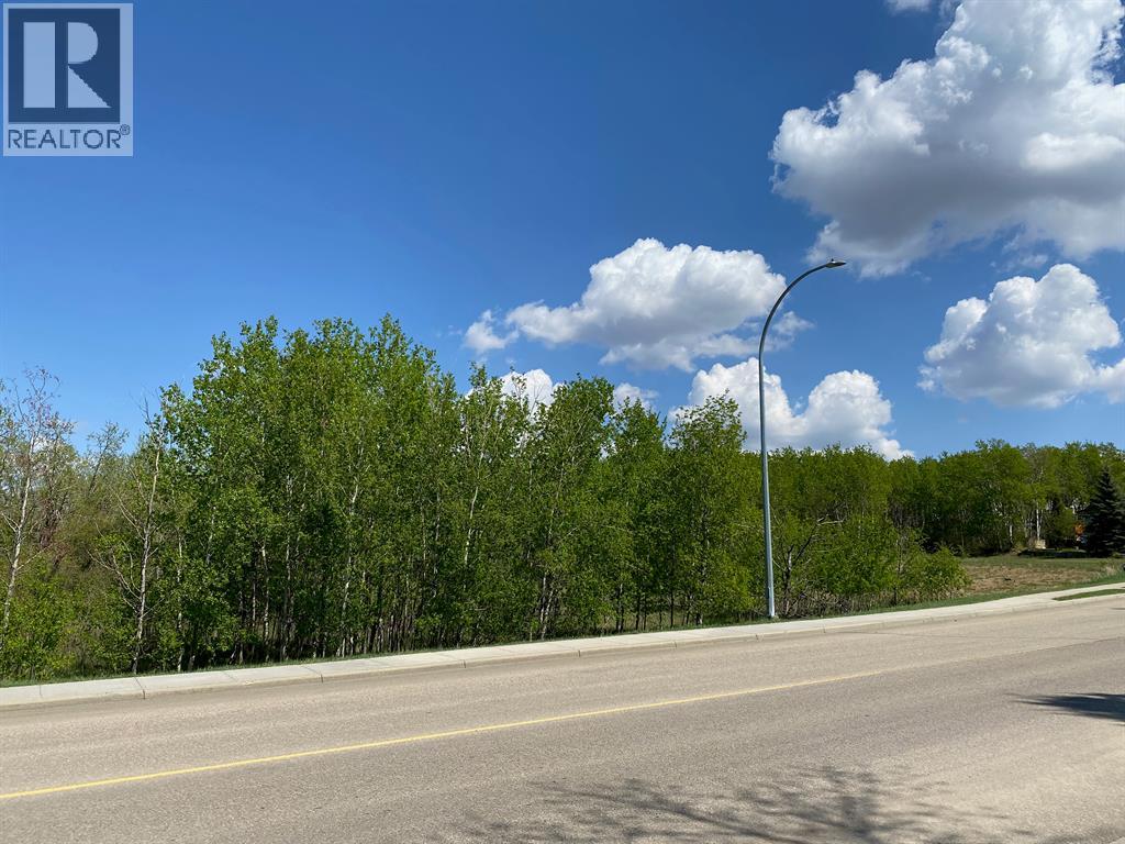 5005 46 Street Property Photo 12