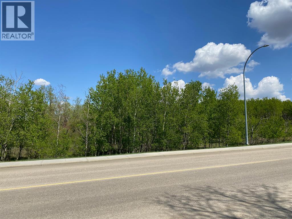5005 46 Street Property Photo 13