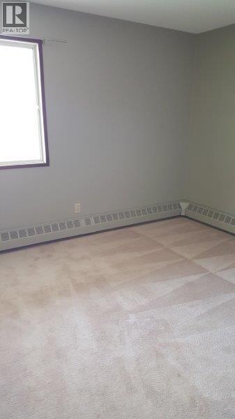 104, 8530 99 Avenue Property Photo 9