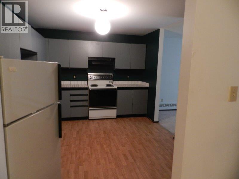 104, 8530 99 Avenue Property Photo 10