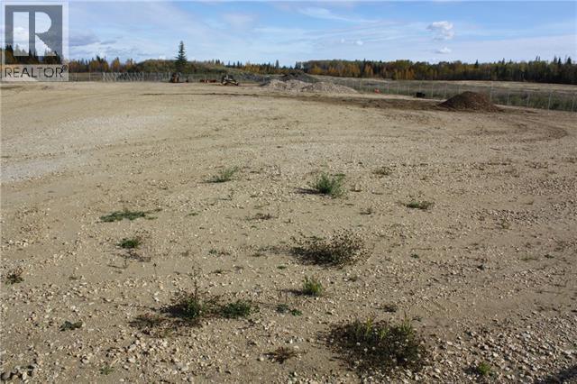 67079 Rge Rd 133 Property Photo 4