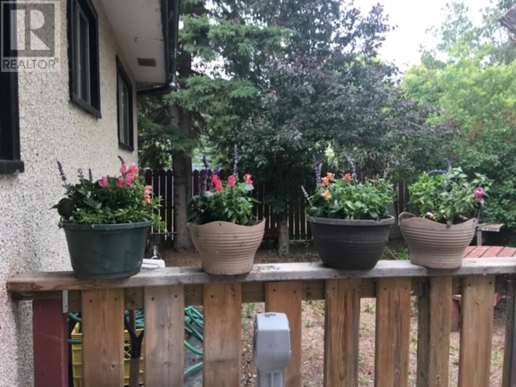 5007 49 Street Property Photo 25
