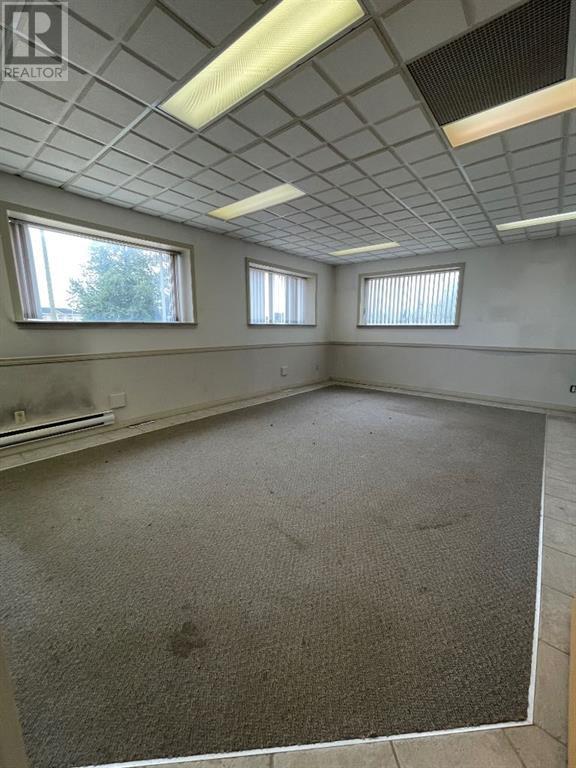4120 53 Avenue Property Photo 19