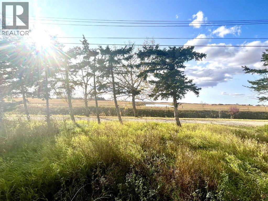 4834 59 Street Property Photo 2