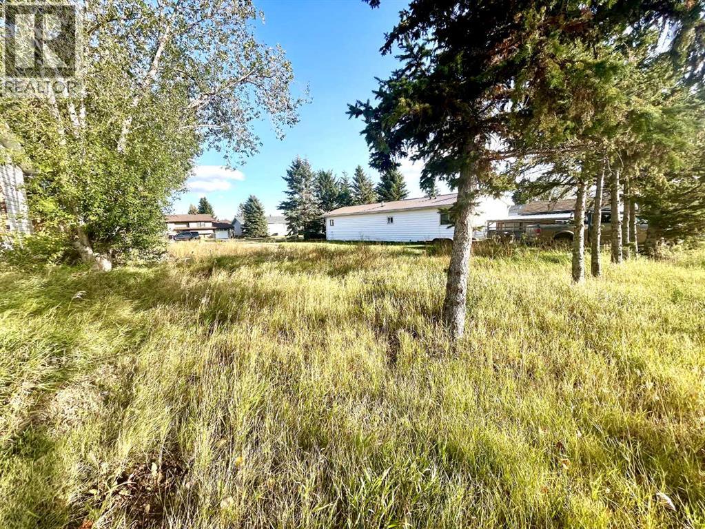 4834 59 Street Property Photo 6