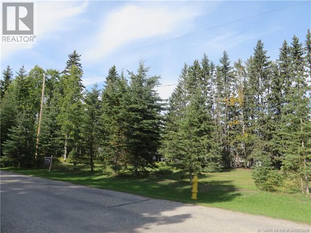 6312 47 Avenue Property Photo 3