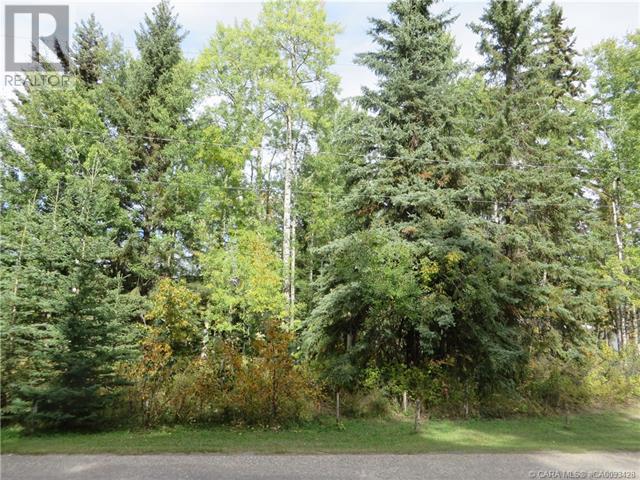 6312 47 Avenue Property Photo 28