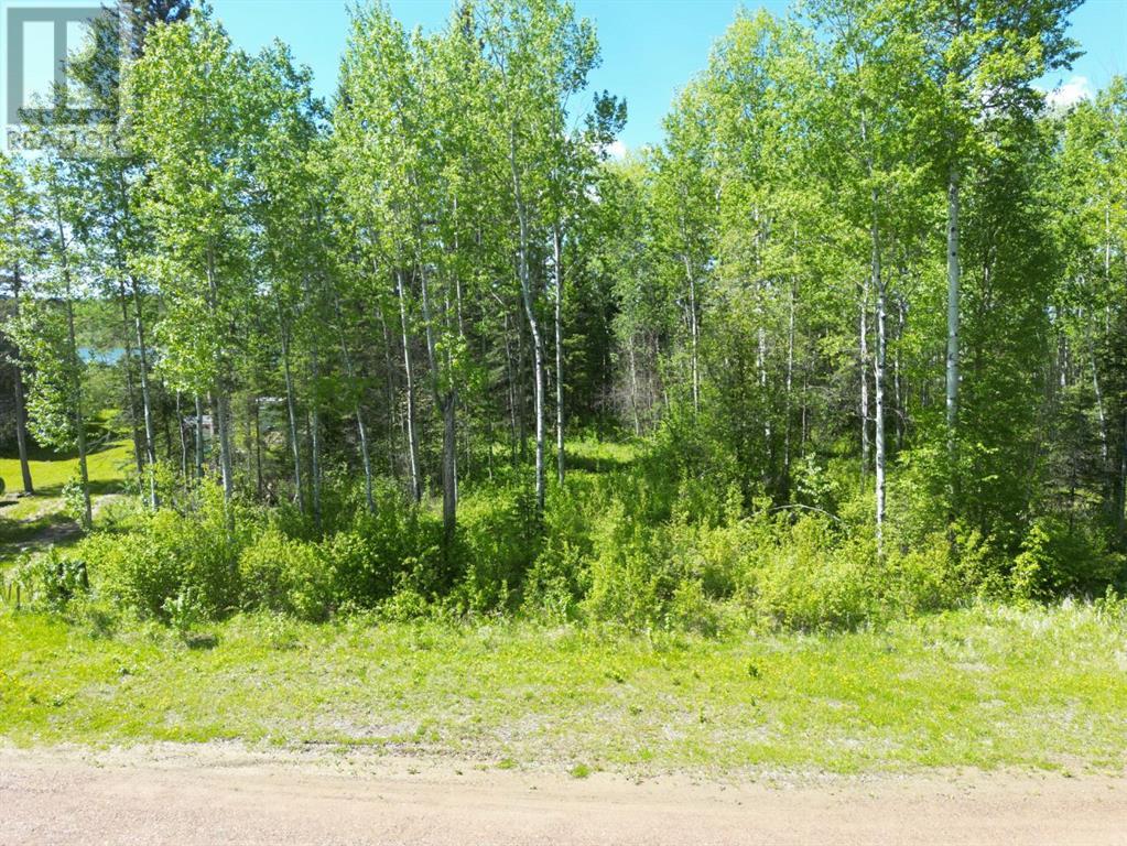 2 Branch Lake Property Photo 1