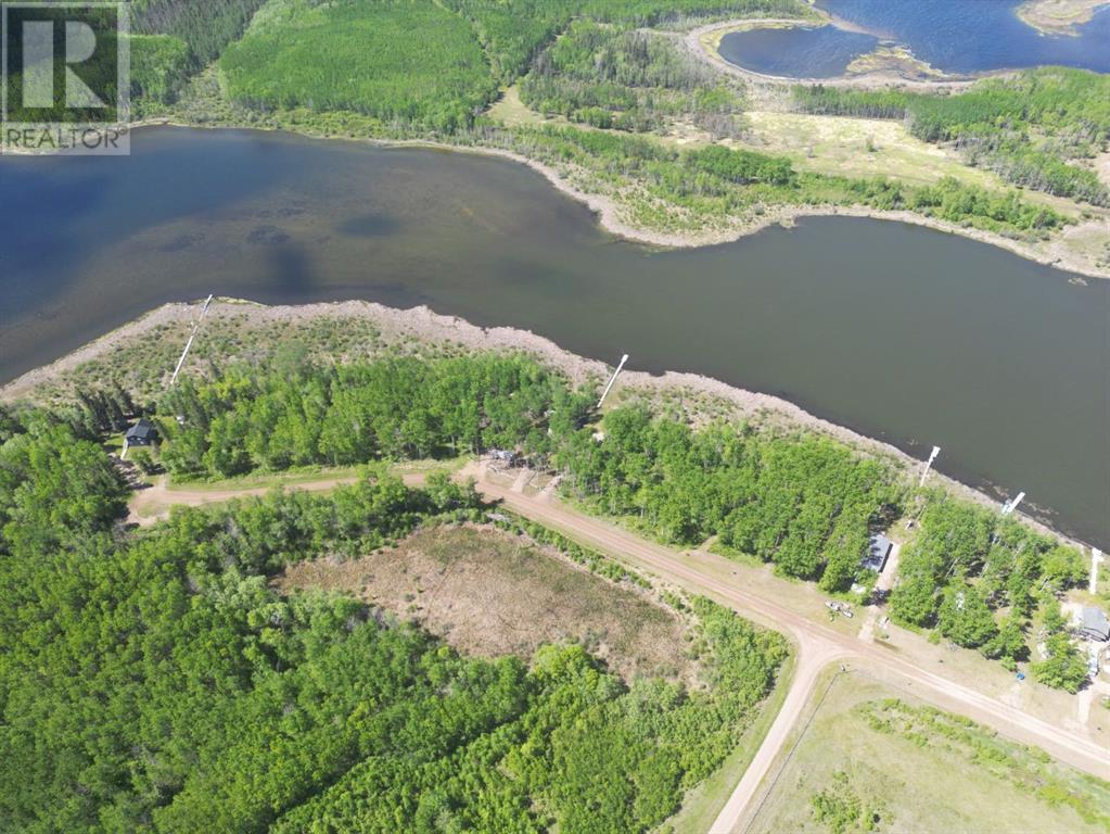 2 Branch Lake Property Photo 3