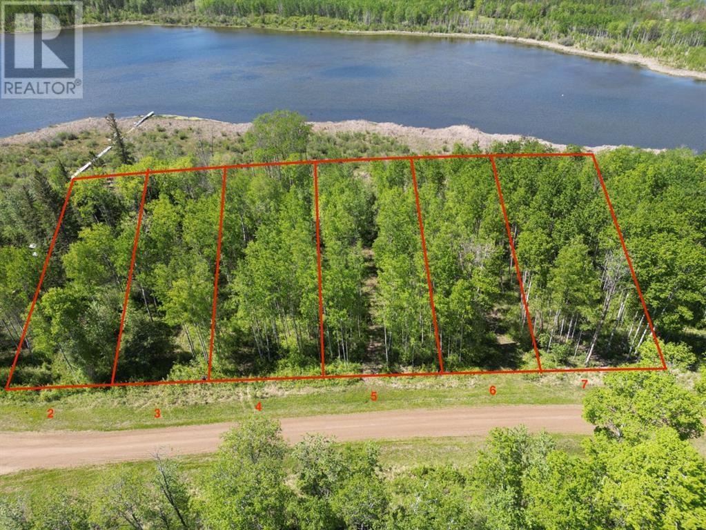 2 Branch Lake Property Photo 8