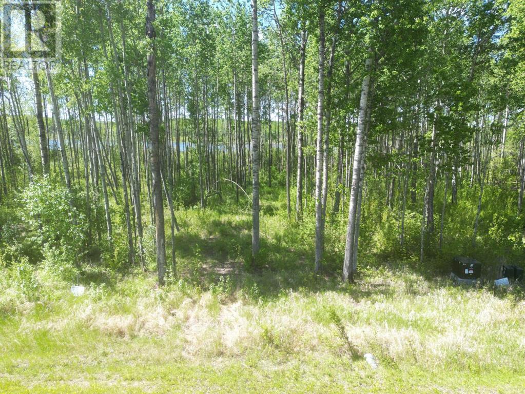 7 Branch Lake Property Photo 1