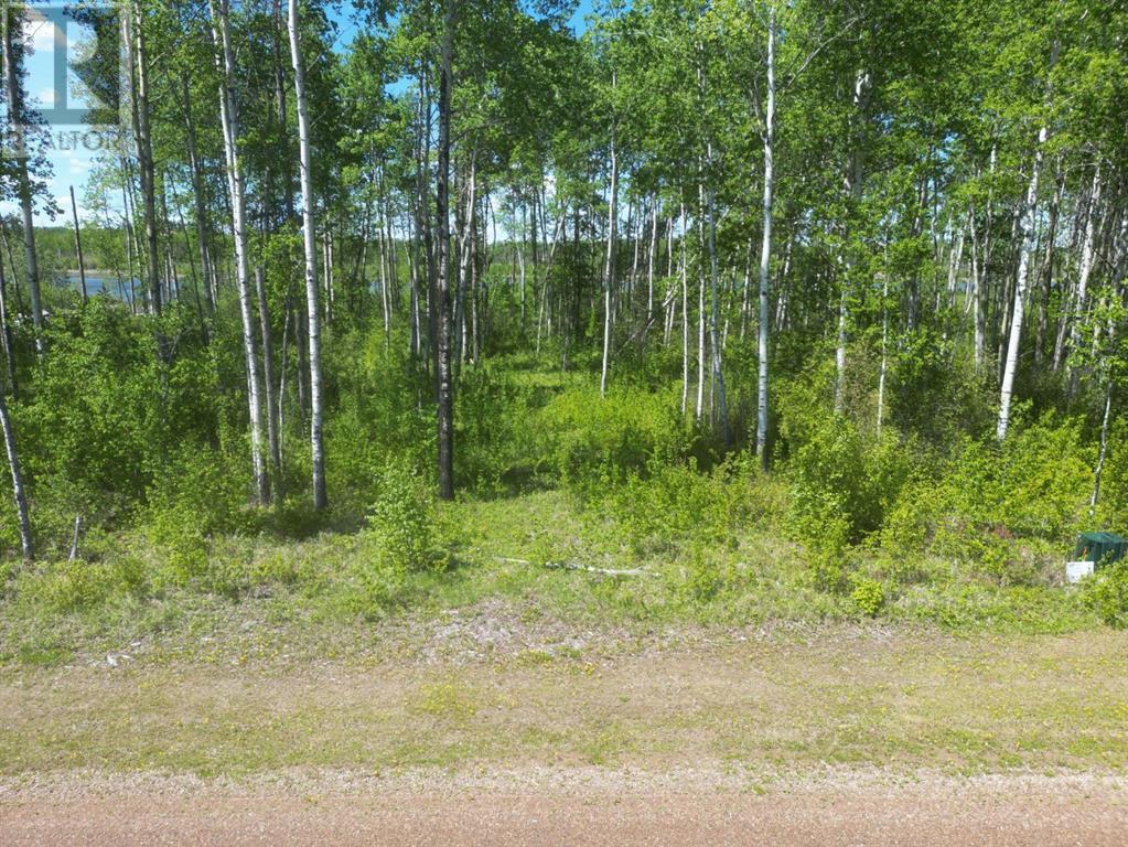 13 Branch Lake Property Photo 1