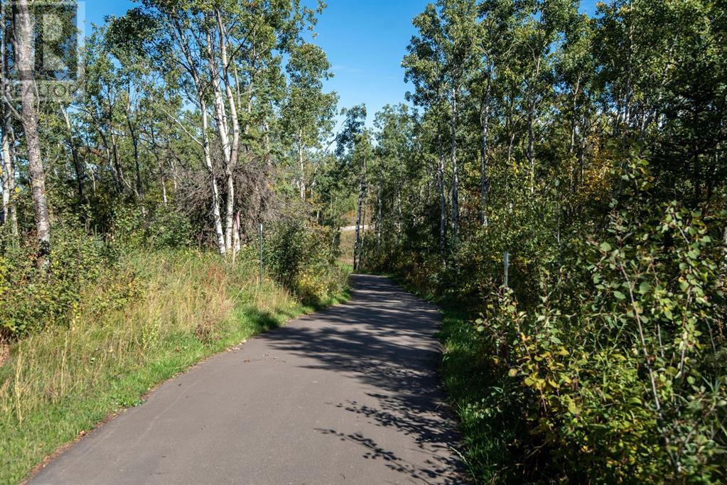 144, 27111 597 Highway Property Photo 4