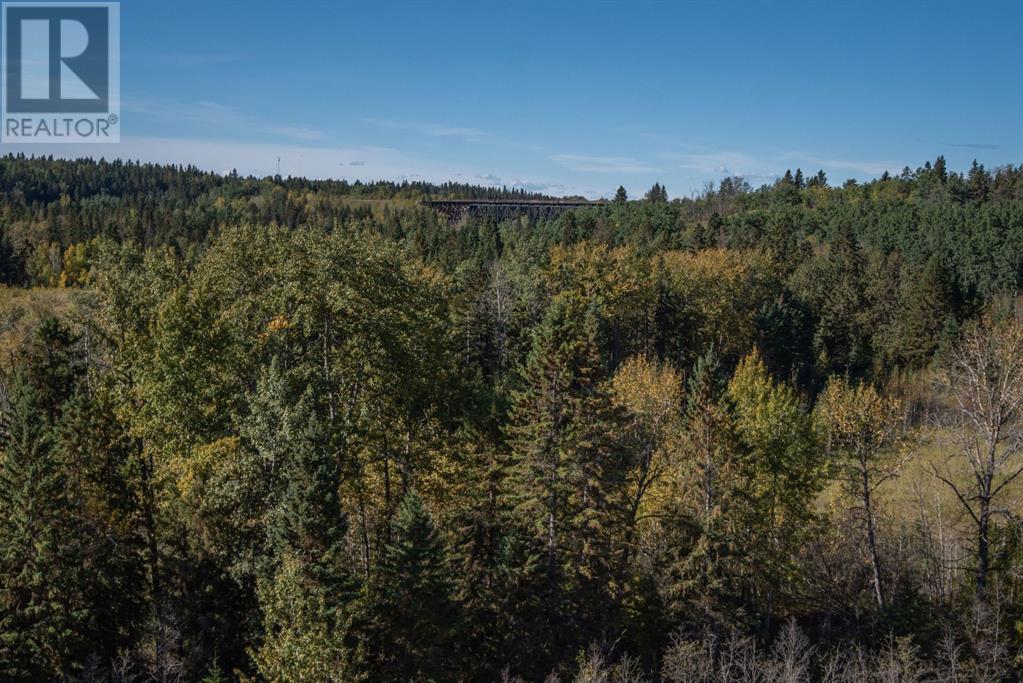 144, 27111 597 Highway Property Photo 16
