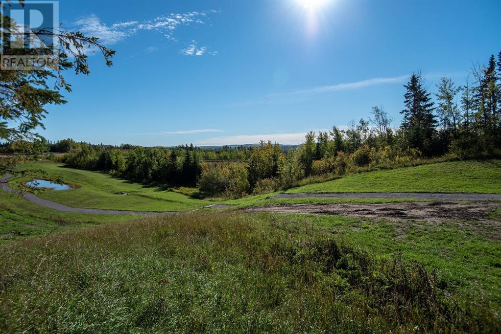 144, 27111 597 Highway Property Photo 28