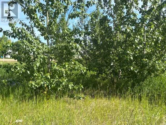 5031 50 Avenue Property Photo 3