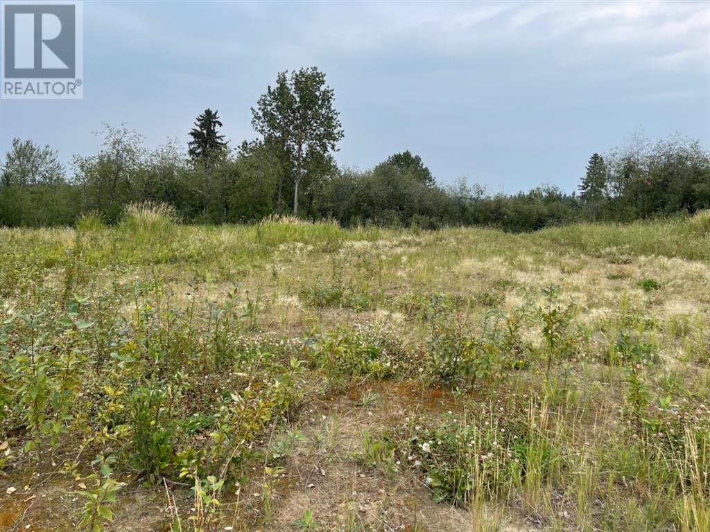 2 19 68 14 W4 Lac La Biche Property Photo 9