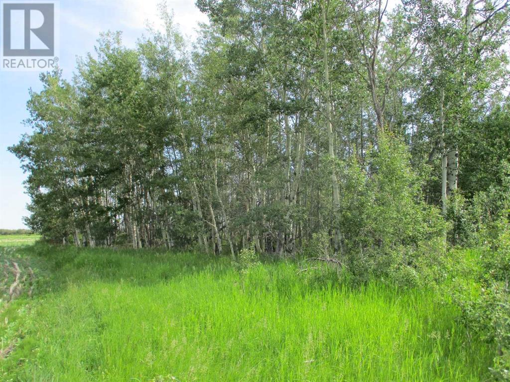 #911016 Hwy 35 Property Photo 9