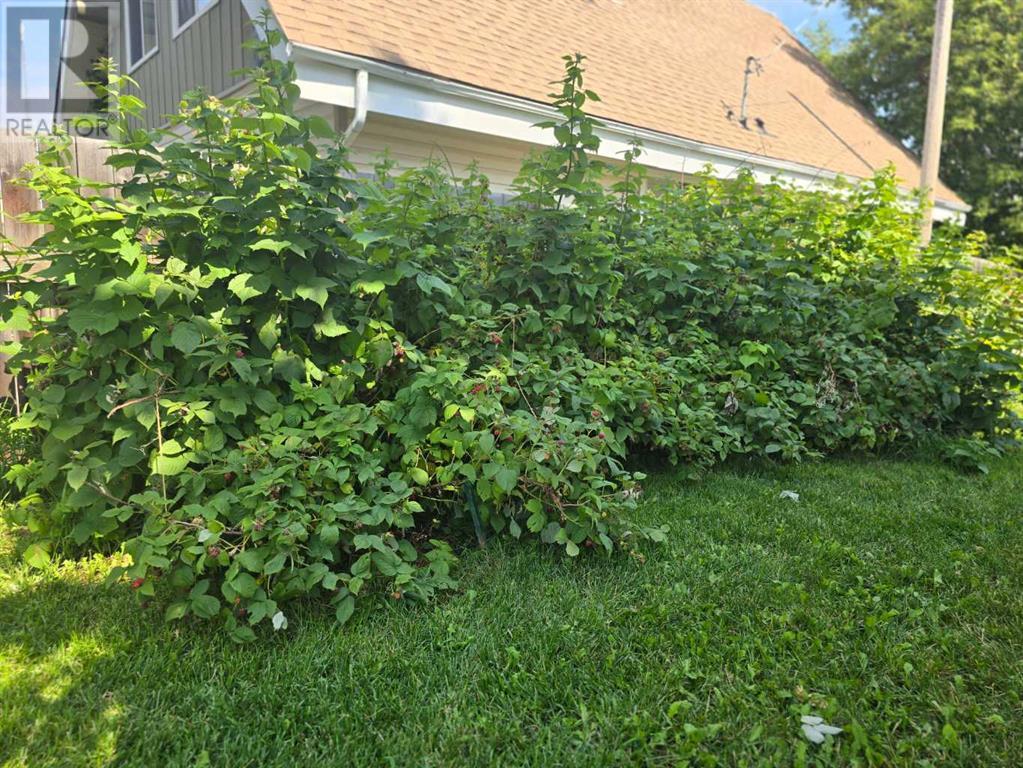 9714 100 Street Property Photo 32