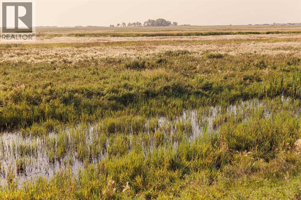 Parcel 8 Range Road 271 Just South Of Highway 9. Property Photo 4