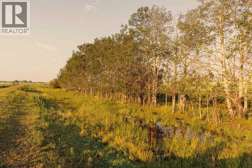 Parcel 8 Range Road 271 Just South Of Highway 9. Property Photo 7