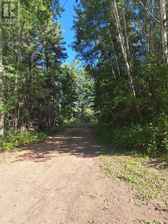 15041 Twp Rd 674a Property Photo 8