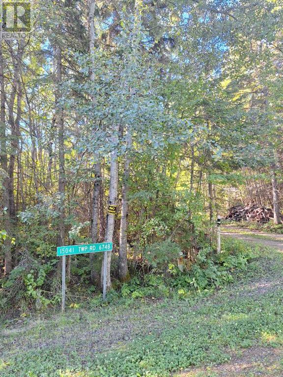 15041 Twp Rd 674a Property Photo 9