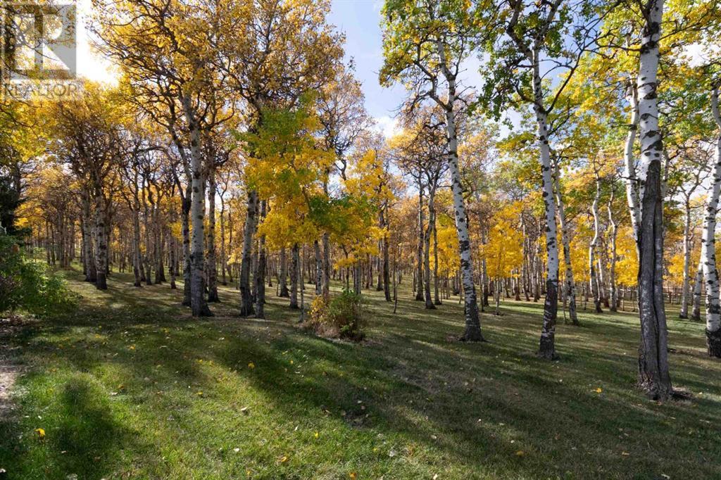 7132 2-1 Range Property Photo 7