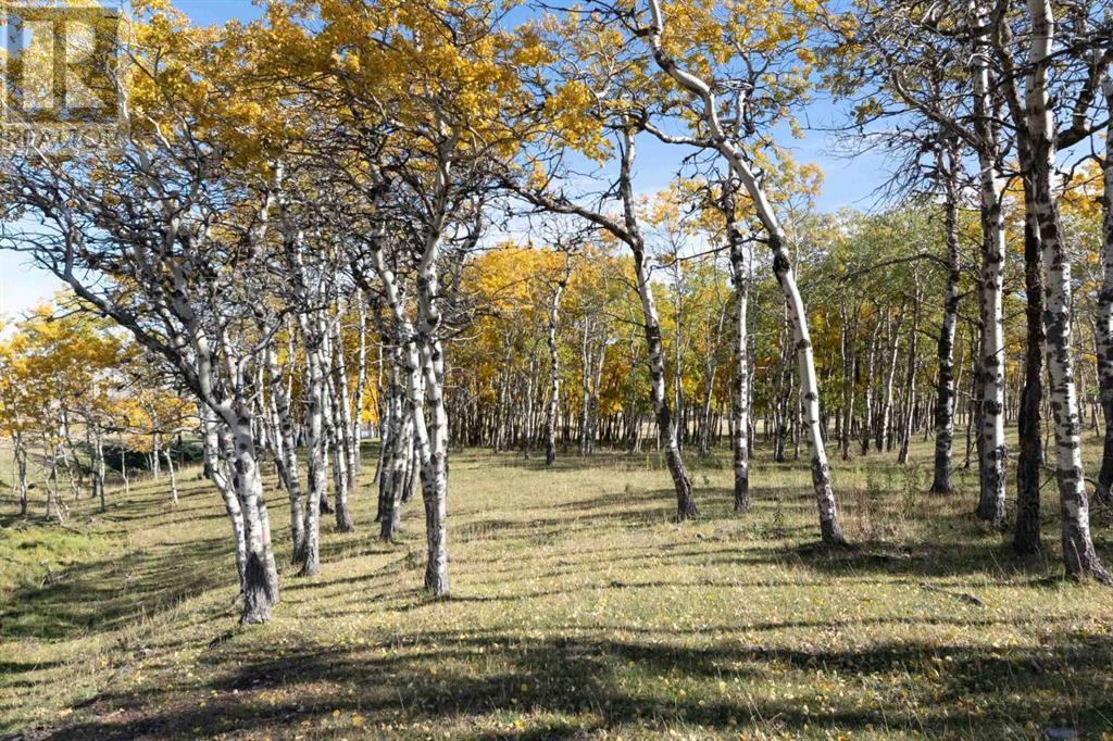 7132 2-1 Range Property Photo 40