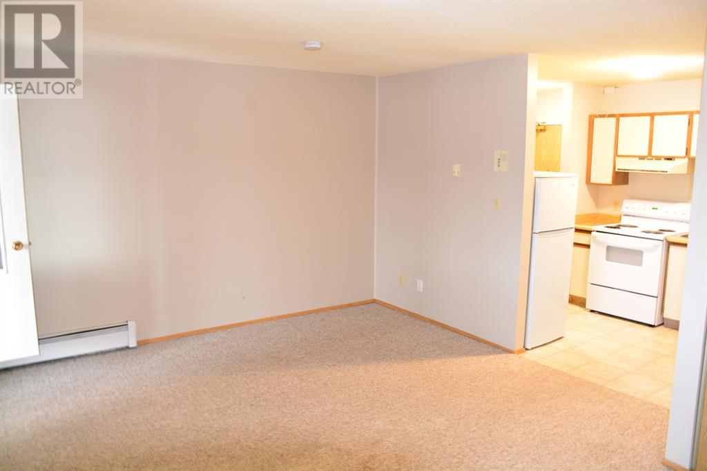 101-215, 10118 100 Avenue Property Photo 9